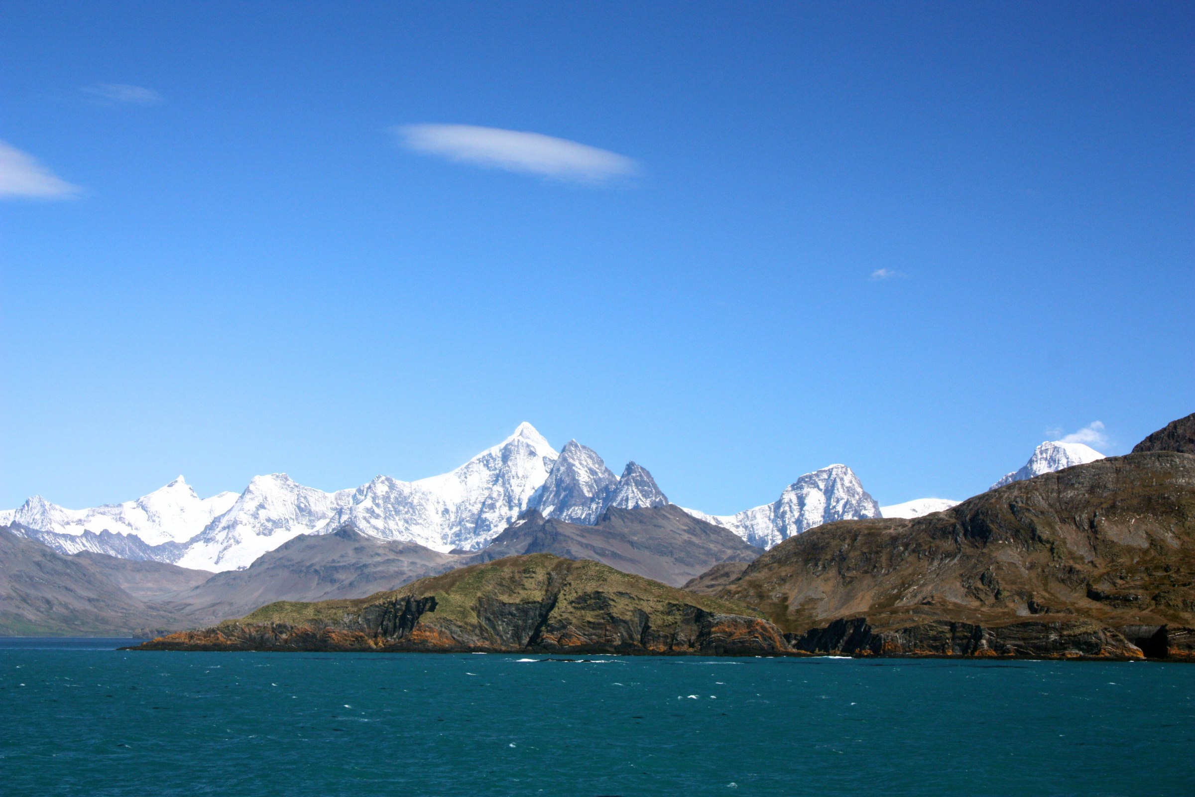 fortuna bay, south georgia (4).webp